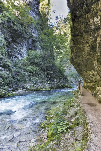 Vintgar gorge, ahşap yol ve nehir Radovna. Bled, Slovenya. — Stok fotoğraf