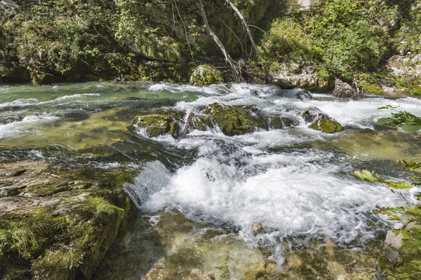 Vintgar Schlucht und Fluss radovna. Slowenien ausgeblutet. — Stockfoto