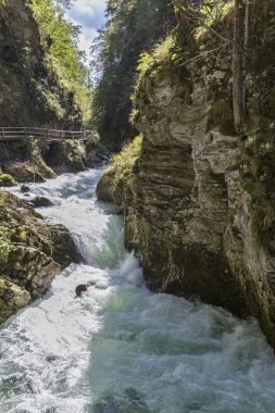 Vintgar gorge ve hızlı nehir Radovna.