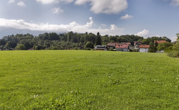 Szerokiej łące w pobliżu alpejskiej miejscowości w Austrii — Zdjęcie stockowe