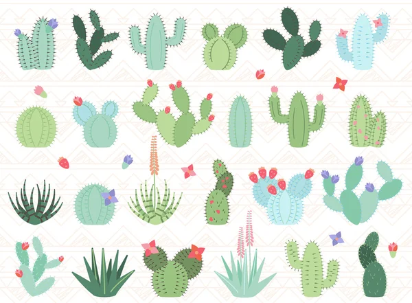 Conjunto vectorial de cactus y plantas suculentas — Archivo Imágenes Vectoriales