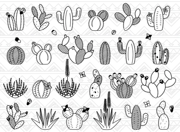 Prickly pear cactus Vector Art Stock Images | Depositphotos
