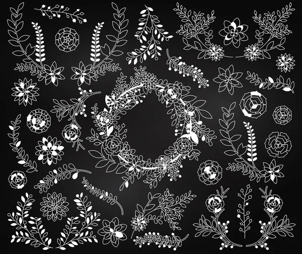 Conjunto de vectores de pizarra de plantas suculentas detalladas, cactus y corona suculenta — Archivo Imágenes Vectoriales