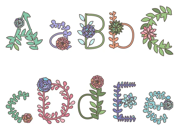 Colección vectorial de letras y alfabetos suculentos o cactus detallados — Vector de stock