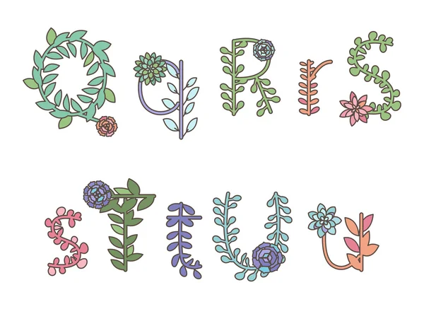 Colección vectorial de letras y alfabetos suculentos o cactus detallados — Vector de stock