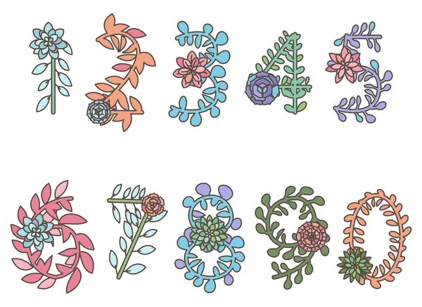 Colección vectorial de letras y alfabetos suculentos o cactus detallados — Archivo Imágenes Vectoriales