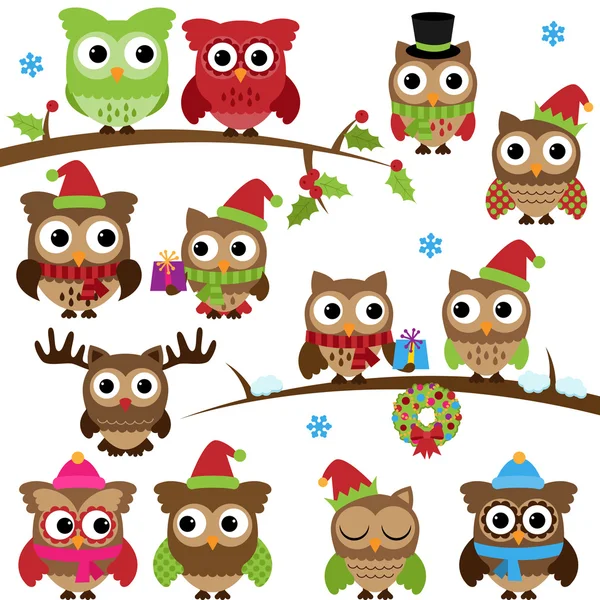 Coleção vetorial de Natal feriado temático corujas e ramos —  Vetores de Stock