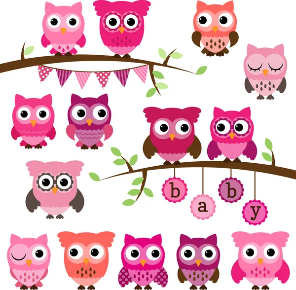 Colección vectorial de bebé niña ducha búhos temáticos y ramas — Vector de stock