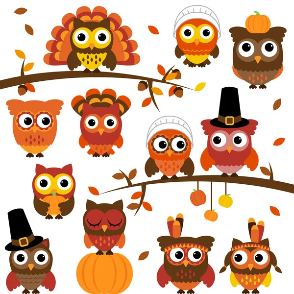 Thanksgiving and Autumn Themed Vector Owl Collection with Branches — Stok Vektör