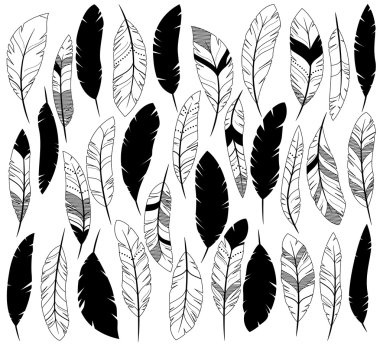 Vector Set of Stylized or Abstract Feathers and Feather Silhouettes clipart