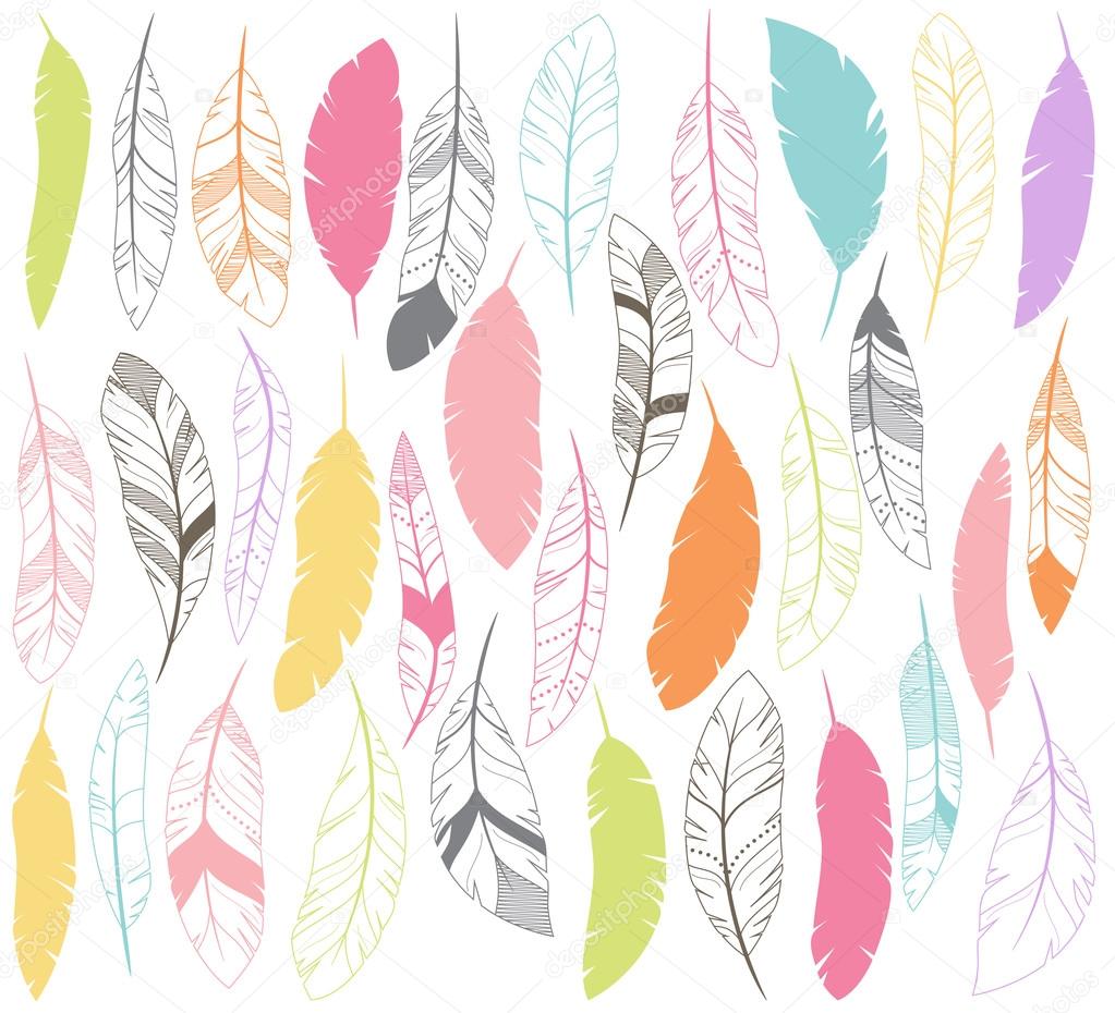 Vector Set of Stylized or Abstract Feathers and Feather Silhouettes