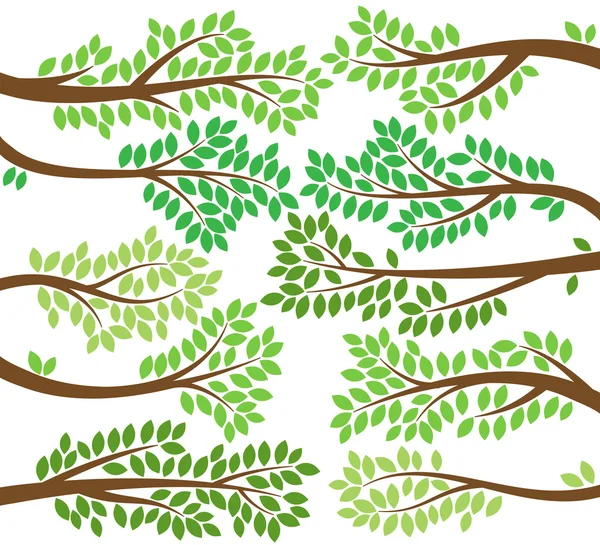 Colección vectorial de siluetas de rama de árbol de hoja — Vector de stock