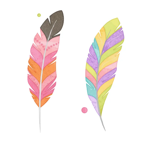 Vector Set of Watercolor Style Feathers — Stock Vector