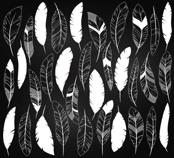 Vector Set of Chalkboard Feathers and Feather Silhouettes — 图库矢量图片