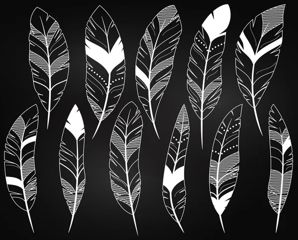 Vector Set of Chalkboard Feathers and Feather Silhouettes — Stockvector