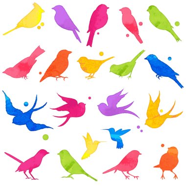 Vector Collection of Bright Watercolor Bird Silhouettes clipart