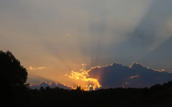 Západ Slunce Promítající Paprsky Slunce Ukryté Dubovým Lesem — Stock fotografie