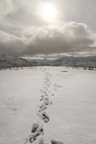 Sentiero Impronte Paesaggio Montano Innevato Con Sole Cima Cielo Con — Foto Stock