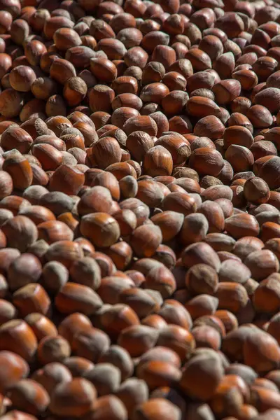 Nuts Hazelnuts Market — Stock Photo, Image