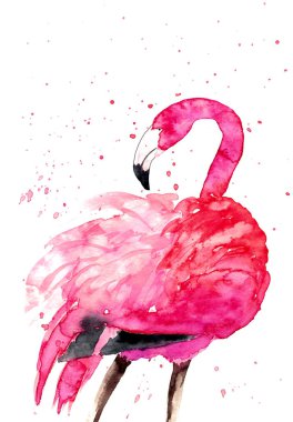 suluboya pembe flamingo beyaz arka planda