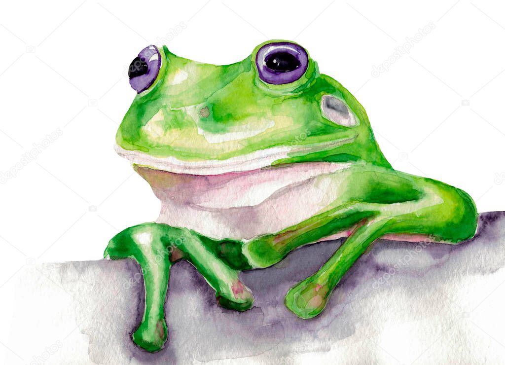 watercolor ollustration of the frog portrait