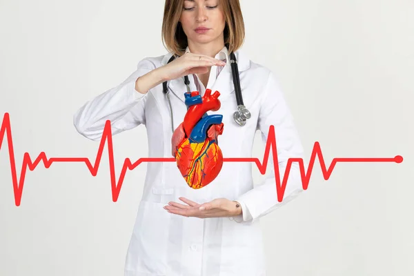 Γυναίκα Καρδιολόγος Γιατρός Κρατά Την Ανθρώπινη Καρδιά Απομονωμένη Λευκό Έννοια — Φωτογραφία Αρχείου