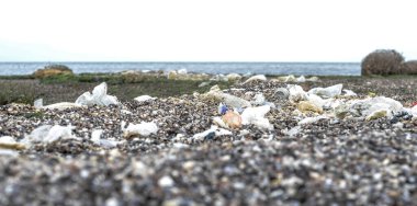 Kıyı plastik şişeler ve poşetlerle kirlenmiş. Deniz kenarında bir sürü çöp var..