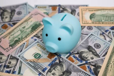 Doların üzerinde duran mavi kumbaranın yakın çekimi