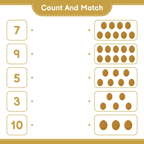 计数和匹配 计数Kiwi的数量和匹配与正确的数字 教育儿童游戏 可打印工作表 矢量图解 — 图库矢量图片