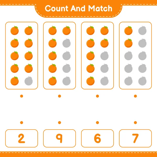 Count Match Count Number Orange Match Right Numbers Educational Children — Stock Vector