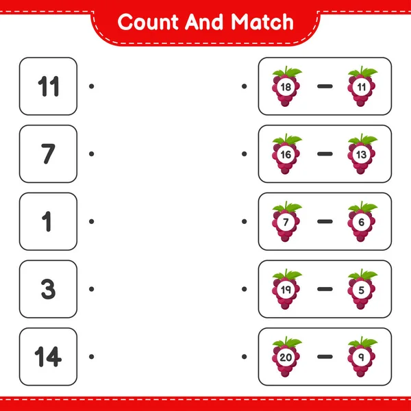 Contar Coincidir Contar Número Uva Coincidir Con Los Números Correctos — Archivo Imágenes Vectoriales