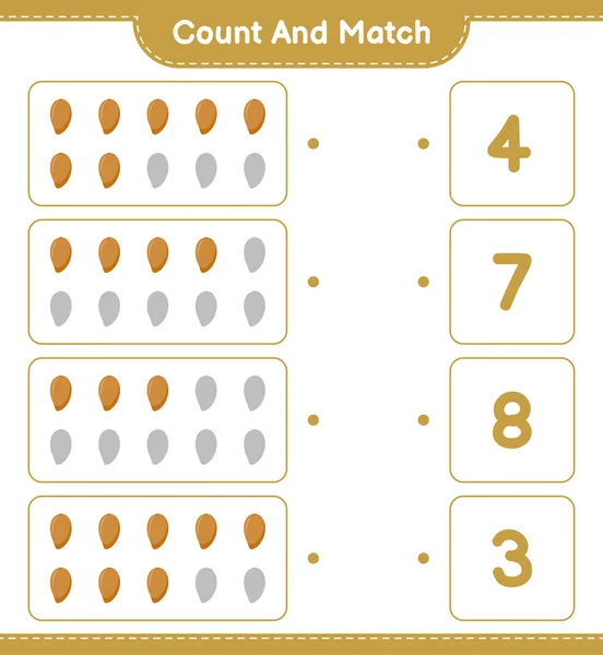 Contar Emparejar Contar Número Zapote Emparejar Con Números Correctos Juego — Archivo Imágenes Vectoriales