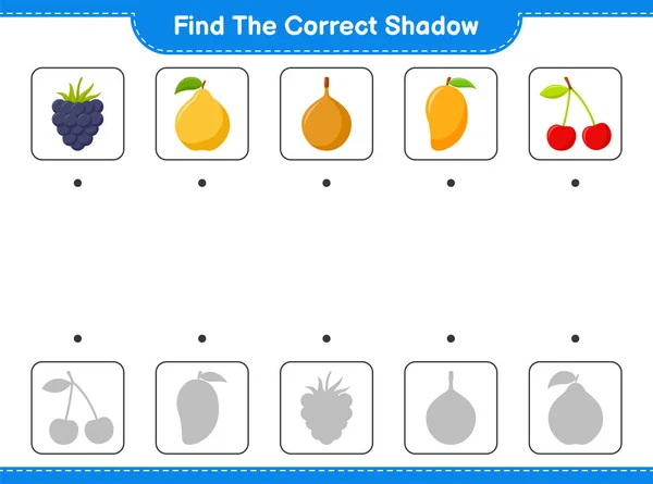 Vind Juiste Schaduw Vind Match Juiste Schaduw Van Fruit Educatieve — Stockvector