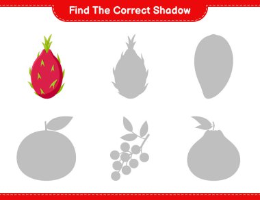 Doğru gölgeyi bul. Pitaya 'nın doğru gölgesini bul ve eşleştir. Eğitimsel çocuk oyunu, yazdırılabilir çalışma tablosu, vektör illüstrasyonu
