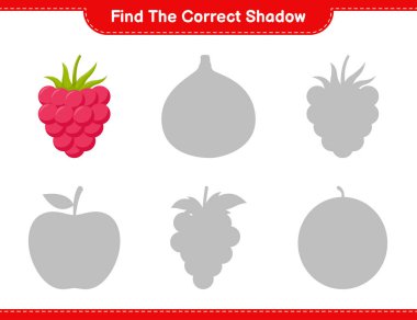 Doğru gölgeyi bul. Ahududu 'nun doğru gölgesini bul ve eşleştir. Eğitimsel çocuk oyunu, yazdırılabilir çalışma tablosu, vektör illüstrasyonu