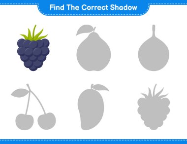 Doğru gölgeyi bul. Blackberry 'nin doğru gölgesini bul ve eşleştir. Eğitimsel çocuk oyunu, yazdırılabilir çalışma tablosu, vektör illüstrasyonu