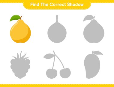 Doğru gölgeyi bul. Quince 'in doğru gölgesini bul ve eşleştir. Eğitimsel çocuk oyunu, yazdırılabilir çalışma tablosu, vektör illüstrasyonu