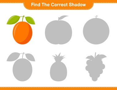 Doğru gölgeyi bul. Ximenia 'nın doğru gölgesini bul ve eşleştir. Eğitimsel çocuk oyunu, yazdırılabilir çalışma tablosu, vektör illüstrasyonu