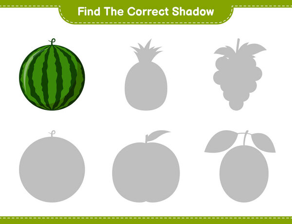 Найдите правильную тень. Найти и соответствовать правильной тени арбуза. Образовательные игры для детей, печатаемые листы, векторные иллюстрации