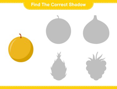 Doğru gölgeyi bul. Ballı Kavun 'un doğru gölgesini bul ve eşleştir. Eğitimsel çocuk oyunu, yazdırılabilir çalışma tablosu, vektör illüstrasyonu