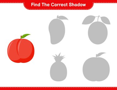 Doğru gölgeyi bul. Nectarine 'in doğru gölgesini bul ve eşleştir. Eğitimsel çocuk oyunu, yazdırılabilir çalışma tablosu, vektör illüstrasyonu