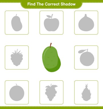Doğru gölgeyi bul. Jackfruit 'in doğru gölgesini bul ve eşleştir. Eğitimsel çocuk oyunu, yazdırılabilir çalışma tablosu, vektör illüstrasyonu