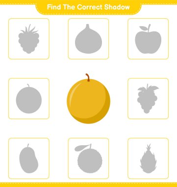Doğru gölgeyi bul. Ballı Kavun 'un doğru gölgesini bul ve eşleştir. Eğitimsel çocuk oyunu, yazdırılabilir çalışma tablosu, vektör illüstrasyonu