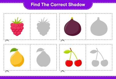 Doğru gölgeyi bul. Meyvelerin doğru gölgesini bul ve eşleştir. Eğitimsel çocuk oyunu, yazdırılabilir çalışma tablosu, vektör illüstrasyonu