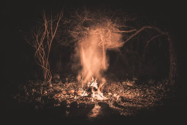 Vlammen van een kampvuur 's nachts in een donker spookachtig bos omringd door stenen die sterke schaduwen vormen — Stockfoto