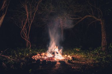 Karanlık ve ürkütücü bir ormanda, güçlü gölgeler oluşturan taşlarla çevrili bir kamp ateşinin alevleri.