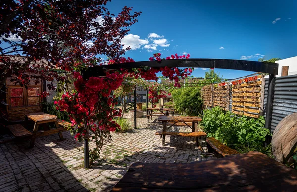 VILLA GESELL, ARGENTINA, DEZEMBRO 16, 2020: Vista panorâmica do lindo colorido ao ar livre pubs quintal cheio de flores vermelhas penduradas em uma pérgula em um dia ensolarado — Fotografia de Stock