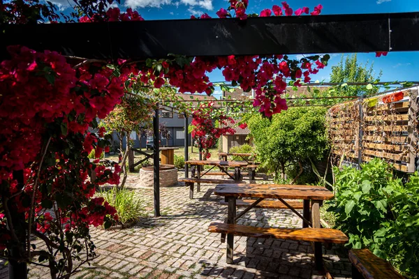 Adorável colorido ao ar livre pubs quintal cheio de flores vermelhas penduradas em uma pérgula em um dia ensolarado brilhante — Fotografia de Stock