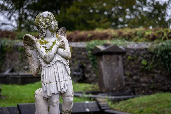KILKENNY, IRLAND, 23. DEZEMBER 2018: Skulptur eines alten gruseligen Cherub-Engels mitten auf einem Friedhof, voller Flechten und Schimmel, der Brust und Herz hält, während er in den wolkenverhangenen Himmel blickt. — Stockfoto