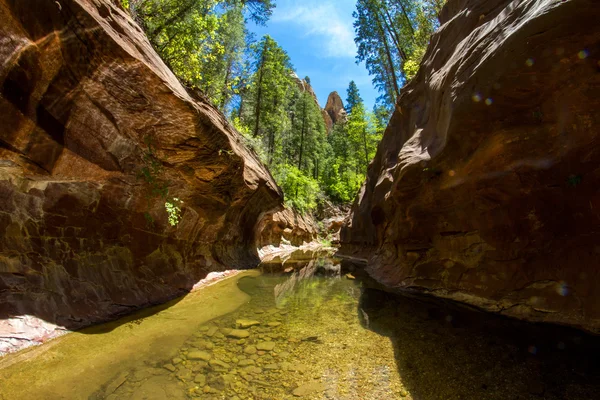 Sedona'daki Batı çatal Oak Creek iz